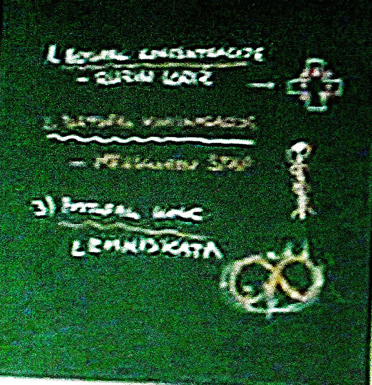 7.JPG
