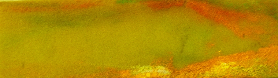 P6182001.JPG