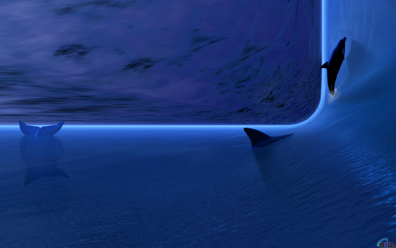 widescreen_193.jpg