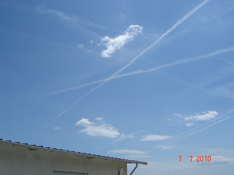 DSC03802.jpg