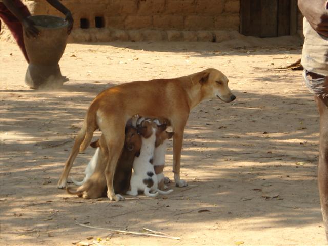 DSC00788 (Small).JPG