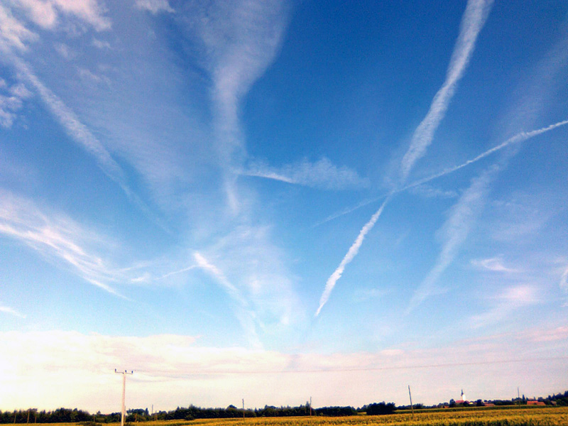 28.7.2010-1.jpg