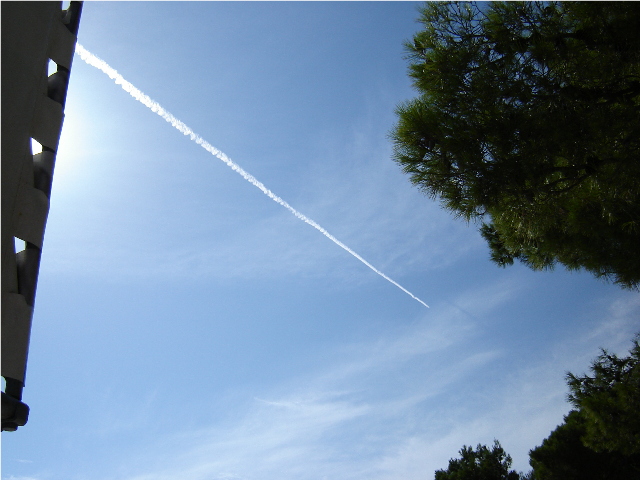 DSC03420.JPG