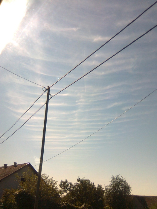 11.8.2010-22.jpg