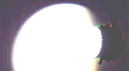 42644.jpg