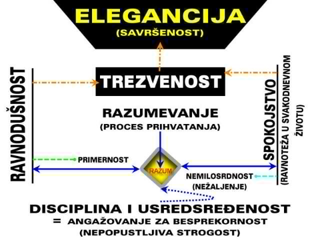 Shema 1 (1).jpg